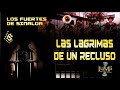 LOS FUERTES DE SINALOA - LAS LAGRIMAS DE UN RECLUSO