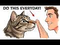 Do These 7 Things Daily And Your Cat'll Know You LOVE Them
