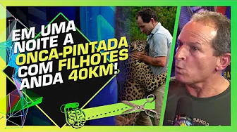 imagem do youtube