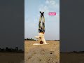 #martial arts yoga #short video