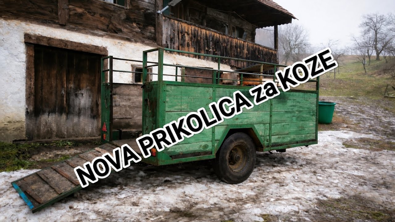 NOVA PRIKOLICA za KOZE