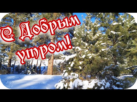 С Добрым утром! ❤️С радостным днем!❤️ Желаю позитивных эмоций! ❤️Good morning!❤️