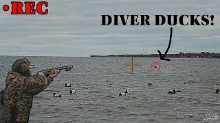 Chequamegon Bay DIVER DUCK HUNT