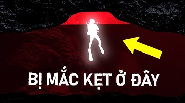 Chuyến Đi Săn Cá Nhanh Chóng Trở Thành Cơn Ác Mộng