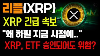[엑스알피]  '왜 하필 지금 시점에..' XRP ETF 승인 되어도 위험?