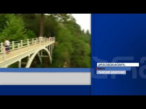 არგუმენტების დრო - ბოტანიკური ბაღი და \"ქართული ოცნების\" ხელისუფლების ეკოლოგიური პოლიტიკა