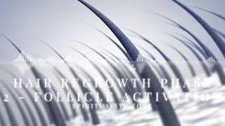 Hair Regrowth Phase 2   Follicle Activation