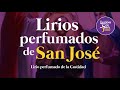 ✅ (02) Lirio perfumado de la Castidad