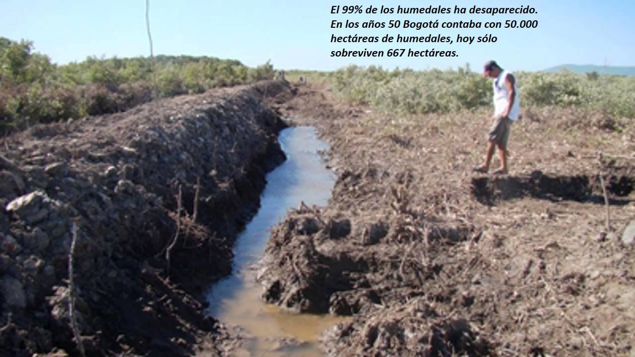 Ahorro y uso eficiente del agua - YouTube