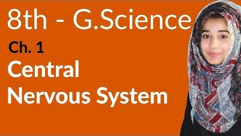 8th Class General Science - Ch 1 - Central Nervous System - General Science 8th Class