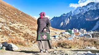 Langtang Valley Trek - Short Treks in Nepal for 2024 | Silent Hike 4K
