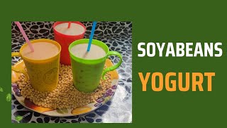 Soyabeans yogurt,  Nutricia, soy milk, soy yogurt. Easiest soybeans yogurt recipe