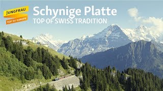 Schynige Platte - Top of Swiss Tradition