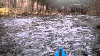 Mullet River 11-13-11 Waves.wmv