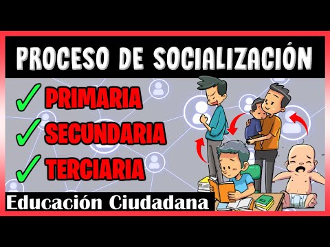 Video: ¿Qué es el proceso de socialización?