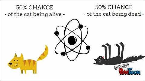 Breakthrough Junior Challenge: Schrodinger