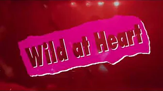 Wild at Heart ❤️‍🔥Powermad on Top