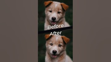 Photoshop Generative AI - How to Change Eye Colour #photoshoptutorial #generativeai #photoshopai