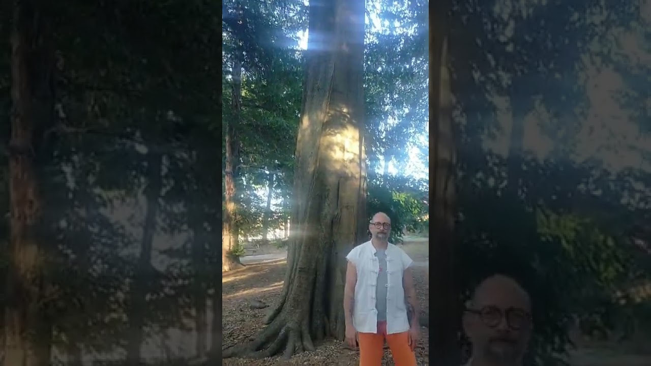 Tai Chi chuan Yang style
sifu Stefano Bernacchi
Free moving internal arts