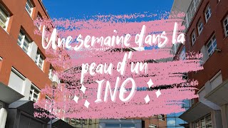 Une Semaine Dans La Peau Dun Ino Information Numérique Dans Les Organisations