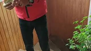 Məni̇m Pullu Dayim Var 2020