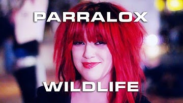 Wildlife (Official Video)