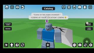 very very very VERY stoopid things on a roblox server