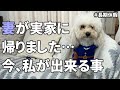 妻が実家に帰ったので、一人でいろいろやりました…