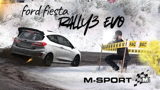 New Ford Fiesta Rally3 Evo By Ha3Ap