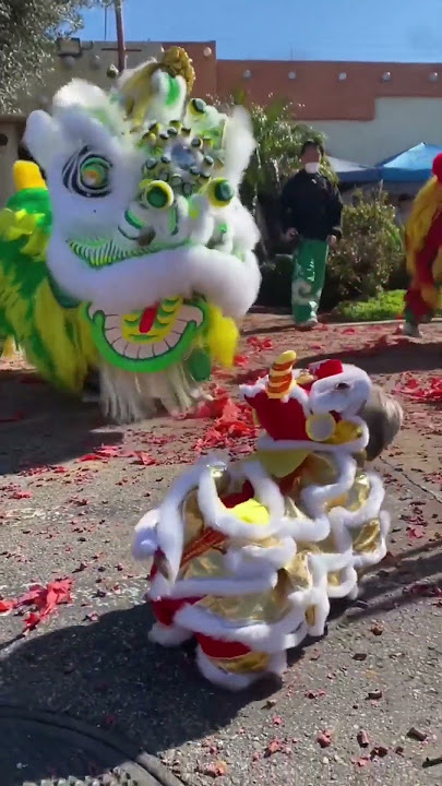 Barongsai kecil, Lion Dance CNY 2024 #liondance