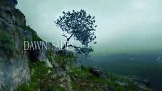 Download Lagu ALUNAH - Awakening The Forest (Official Lyric Video) | Napalm Records MP3