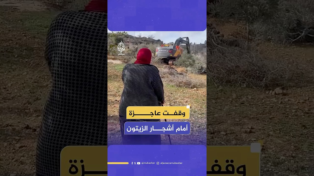 جيش الاحـتـلال الإسرائيلي يقتلع بالجرافات أشجار الزيتون في قريوت نابلس بالضفة الغربية