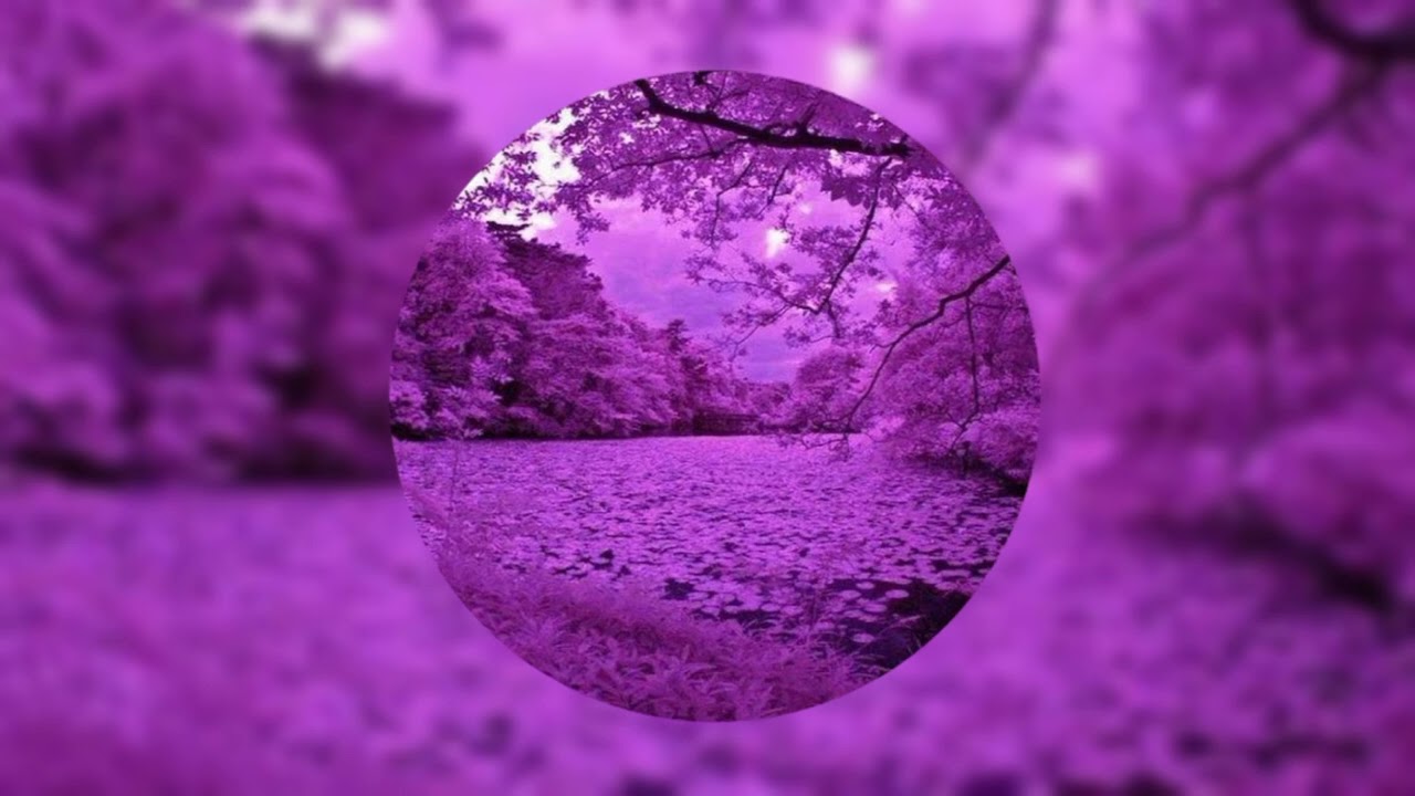 Traynash - MoonsDay | Phonk спокойный