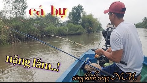 NGAY Ổ Cá Ngát ,Quăng Mồi Đớp Liền,Kéo Liên Tục..