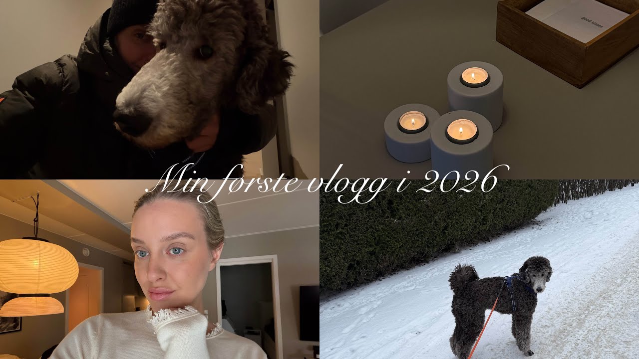 En helt vanlig dag i mitt liv 🤍