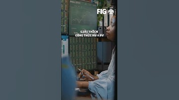 MV = PY: Bí Quyết Giải Mã Lạm Phát & Bùng Nổ Kinh Tế! | FIG Invest