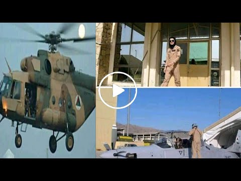 خبرتازه از نیلوفر افغان من اماده هستم به جزئیات کامل درودیو ببنید 