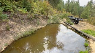 видео: Лесной пруд задыхается… Я пробую спасти его картинка: Лесной пруд задыхается… Я пробую спасти его