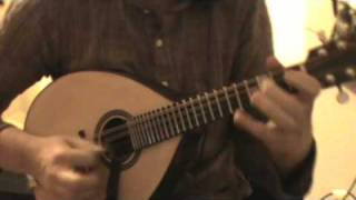 mandolin improvisation indian style