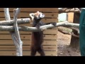 千葉市動物公園 の動画、YouTube動画。