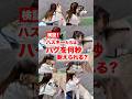 【検証】「一番甘えん坊な子は誰?」ハグ耐久検証 #検証 #ハスキー #husky