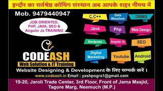 Codeash Web Solution It Training