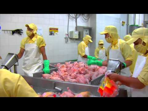 Video Institucional Don Pollo - Grupo Empresarial Don Pollo