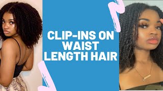 3c/4a Clip-Ins on Waist Length Hair // Type 4 Hair // Brittany Rose