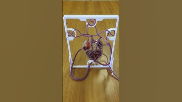 3-D Pumping Heart