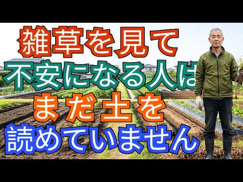 【初心者でも成功】その雑草、抜いた瞬間に土は弱くなります。知らないと損します｜家庭菜園 土づくり 雑草対策 - 15分でできる家庭菜園