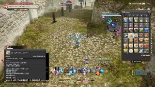 Roro Rororina 日記 黒魔導士80用スキル回し その他変更点などなど Final Fantasy Xiv The Lodestone