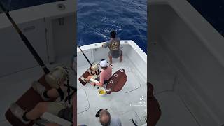 550lbs blue marlin caught off the coast of hawwaii **raw footage**