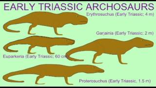 PL2: DIVERSE FOSSIL ORGANISMS OF THE EARLY MESOZOIC 2