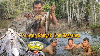 MELIMPAH‼️KUBANGAN RAWA INI BANYAK IKAN BESARNYA